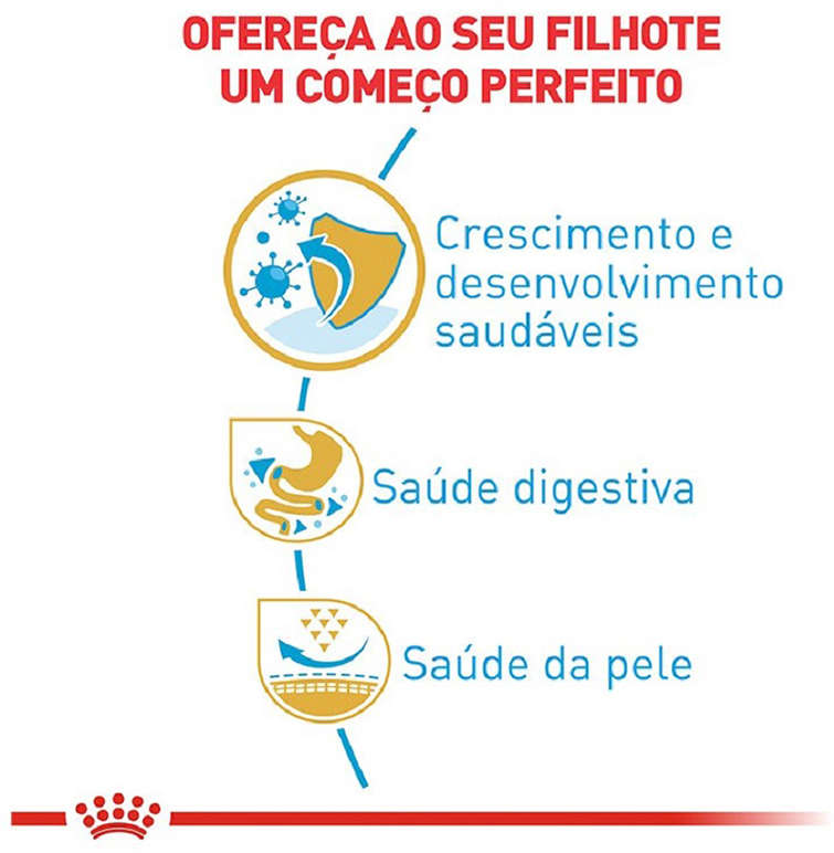 Ração Seca Royal Canin Puppy Bulldog Francês para Cães Filhotes - 2,5Kg