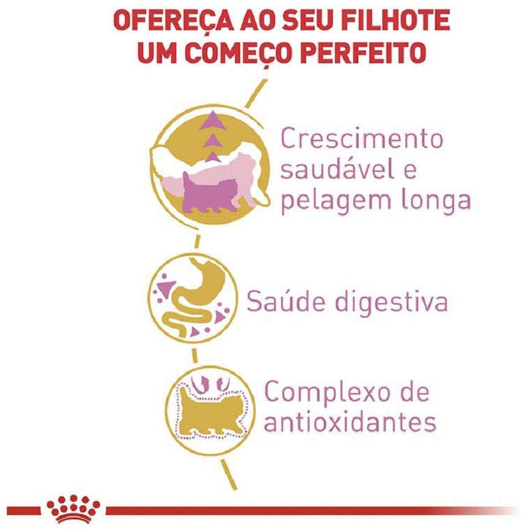 Ração Royal Canin Kitten Persian para Gatos Filhotes da Raça Persa - 1,5Kg
