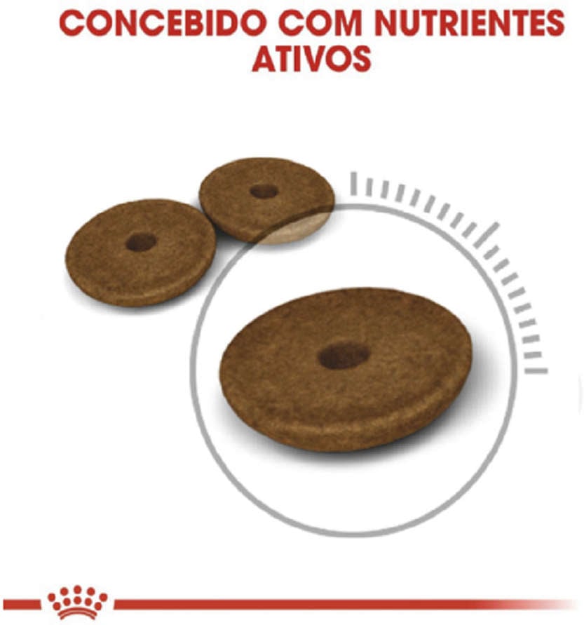Ração Royal Canin Feline Digestive Care Nutrition para Gatos Adultos - 3Kg