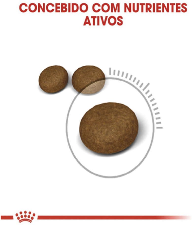 Ração Royal Canin Hair & Skin Care para Gatos Adultos - 1,5Kg