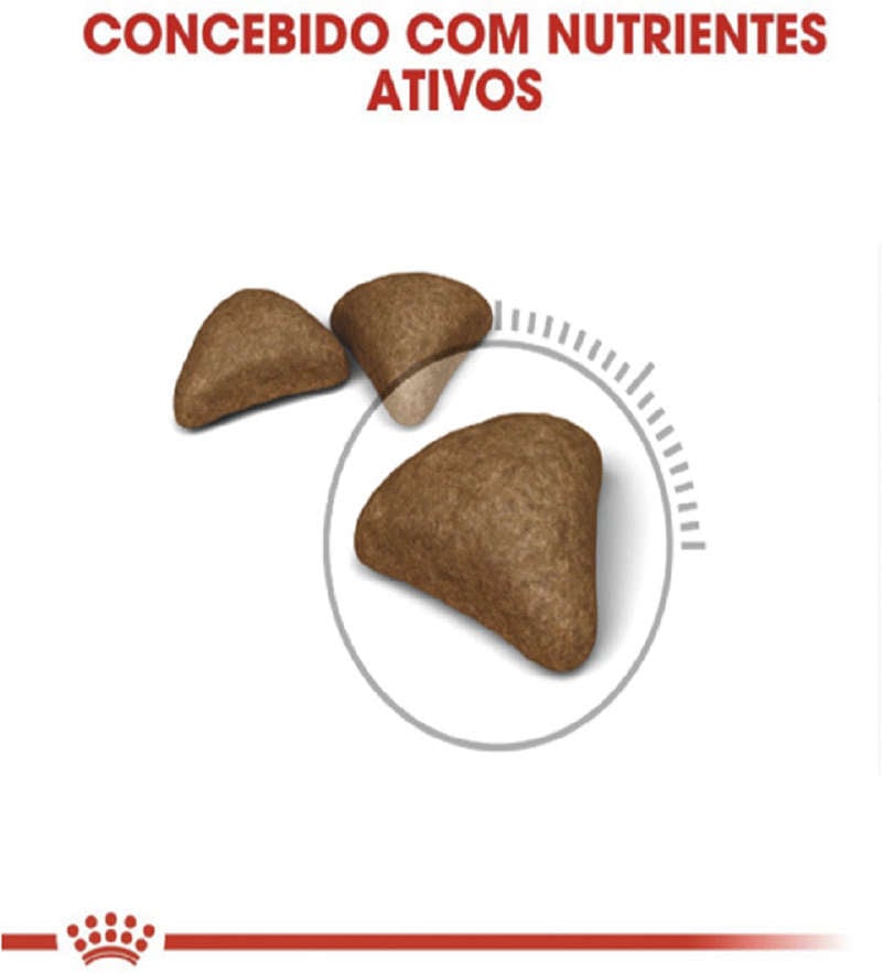 Ração Royal Canin Intense Hairball para Gatos Adultos - 1,5Kg