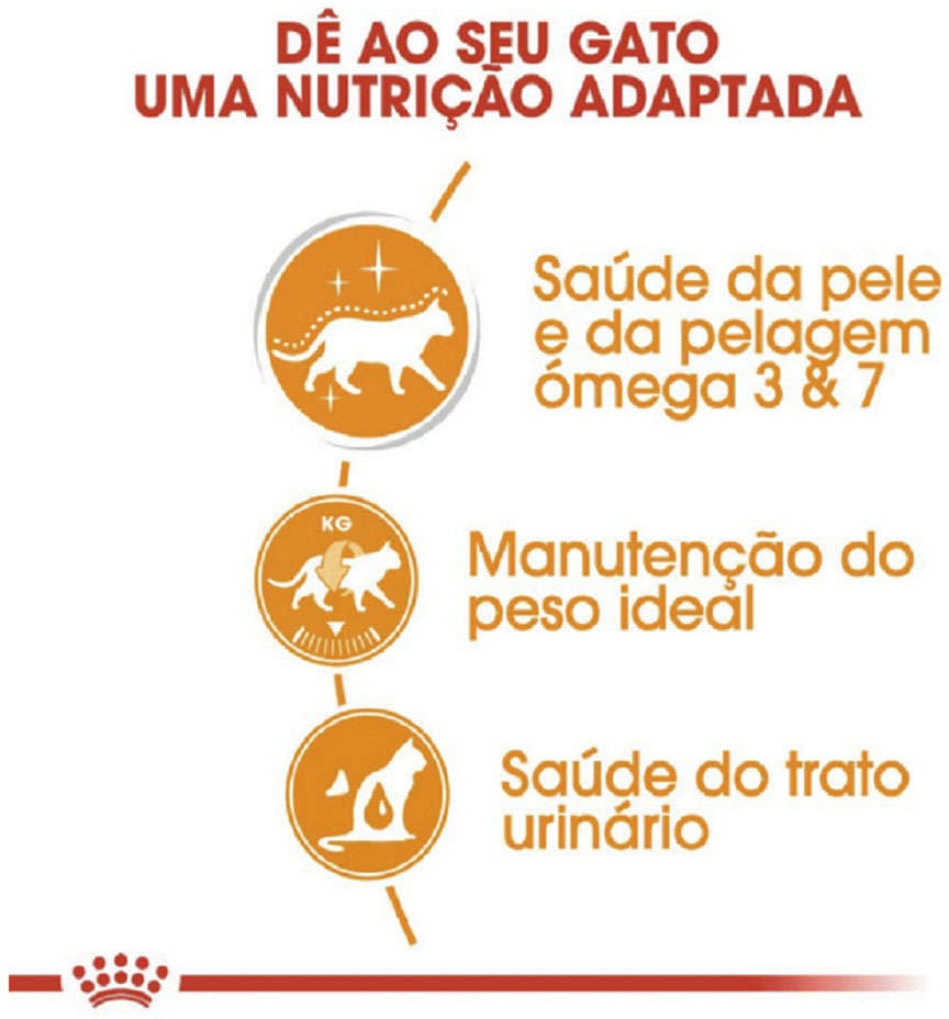 Kit Ração Úmida Royal Canin Sachê Feline Intense Beauty para Gatos - 12 Unidades