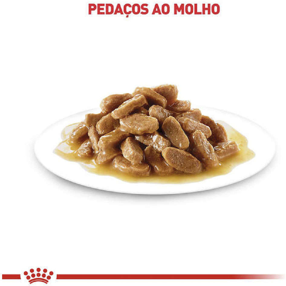 Ração Úmida Royal Canin Sachê Feline Health Nutrition Ageing +12 para Gatos Idosos - 85 g