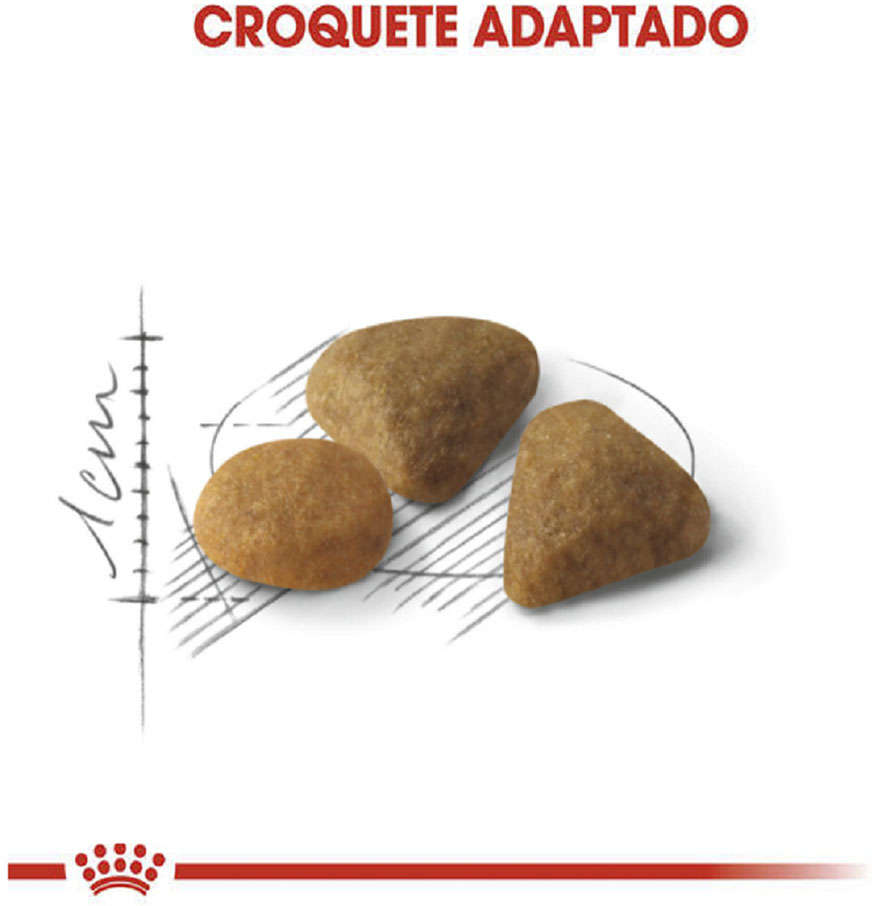 Ração Royal Canin Exigent para Gatos Adultos com Paladar Exigente - 400 g