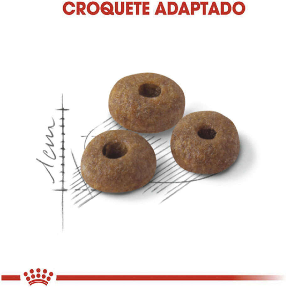 Ração Royal Canin Fit para Gatos - 1,5Kg