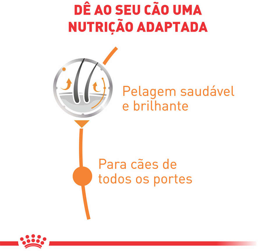 Ração Úmida Royal Canin Sachê Coat Beauty Wet para Cães - 85 g