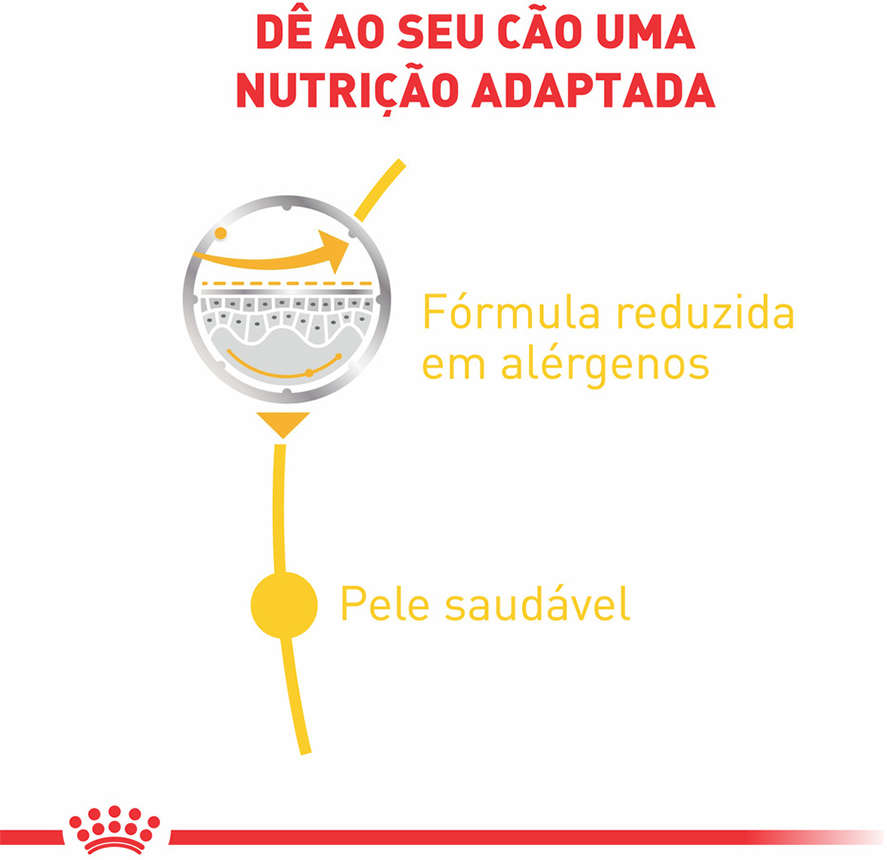 Ração Úmida Royal Canin Sachê Dermacomfort Wet para Cães - 85 g