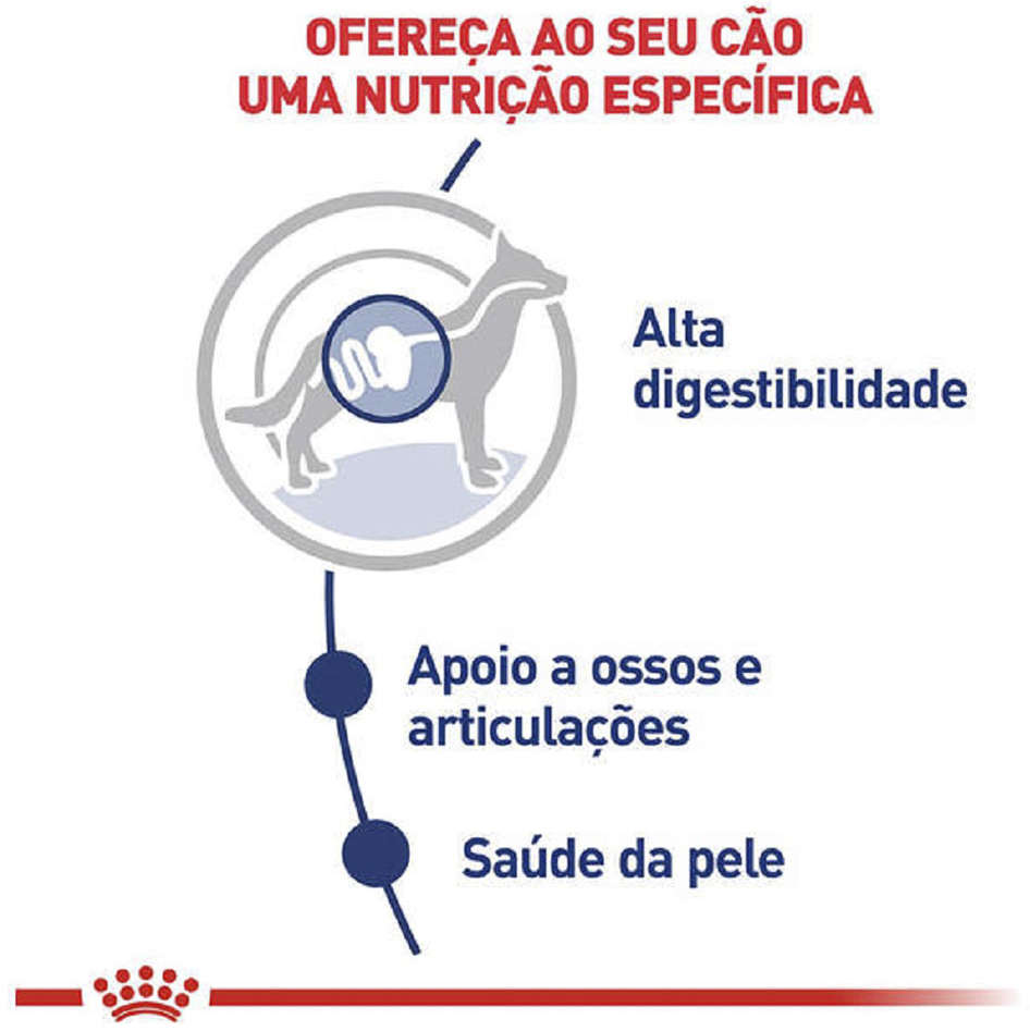 Ração Úmida Royal Canin Sachê Size Health Nutrition Adult Wet para Cães Adultos Raças Grandes - 140 g