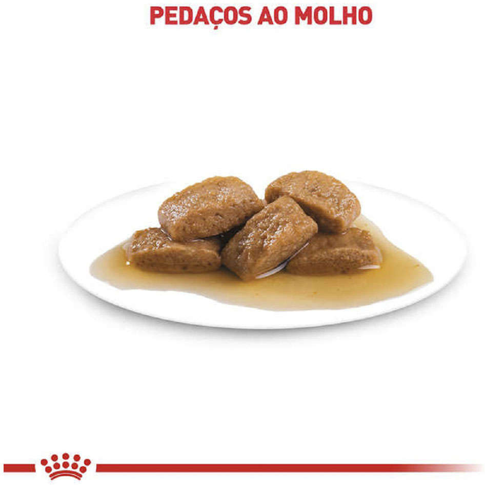 Ração Úmida Royal Canin Sachê Size Health Nutrition Adult Wet para Cães Adultos Raças Grandes - 140 g