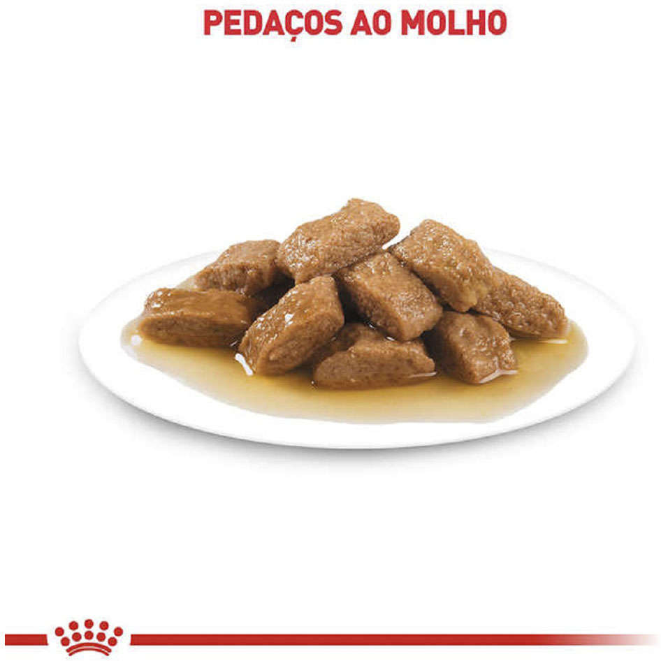 Ração Úmida Royal Canin Sachê Size Health Nutrition Wet para Cães Adultos Raças Médias - 140 g