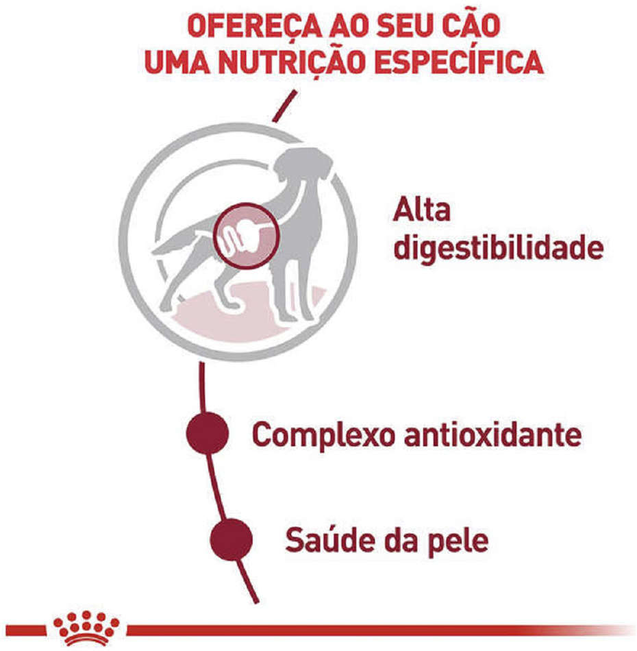 Ração Úmida Royal Canin Sachê Size Health Nutrition Wet para Cães Adultos Raças Médias - 140 g