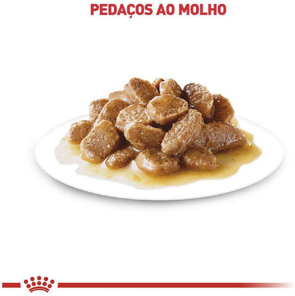 Ração Úmida Royal Canin Sachê Size Health Nutrition Wet para Cães Adultos Raças Pequenas - 85 g