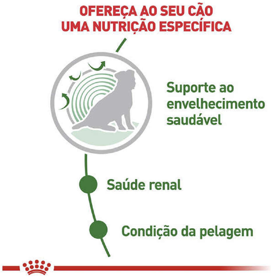 Ração Royal Canin Sachê Size Health Nutrition Wet para Cães Adultos Raças Pequenas a partir de 12 Anos de Idade - 85 g