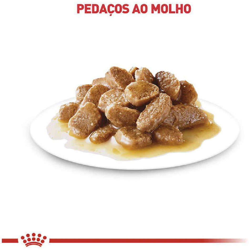 Ração Royal Canin Sachê Size Health Nutrition Wet para Cães Adultos Raças Pequenas a partir de 12 Anos de Idade - 85 g