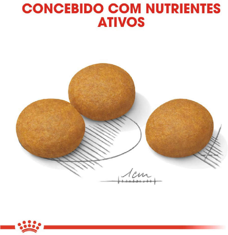 Ração Royal Canin Maxi Dermacomfort para Cães Adultos e Idosos de Raças Grandes - 10,1Kg