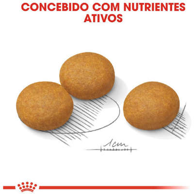 Ração Royal Canin Maxi Dermacomfort para Cães Adultos e Idosos de