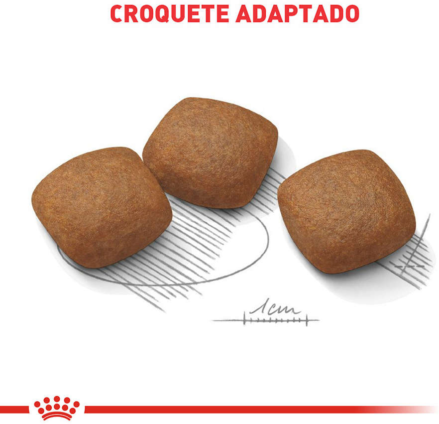Ração Royal Canin Cuidado Articular para Cães Adultos de Raças Grandes - 10,1Kg