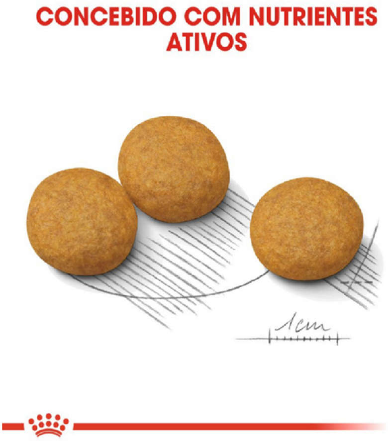Ração Royal Canin Medium Dermacomfort para Cães de Raças Médias Adultos e Idosos Pele - 10,1Kg