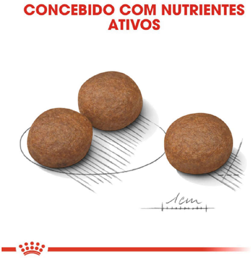 Ração Seca Royal Canin Cuidado Digestivo para Cães Adultos de Raças Médias a partir de 12 meses de idade - 10,1Kg