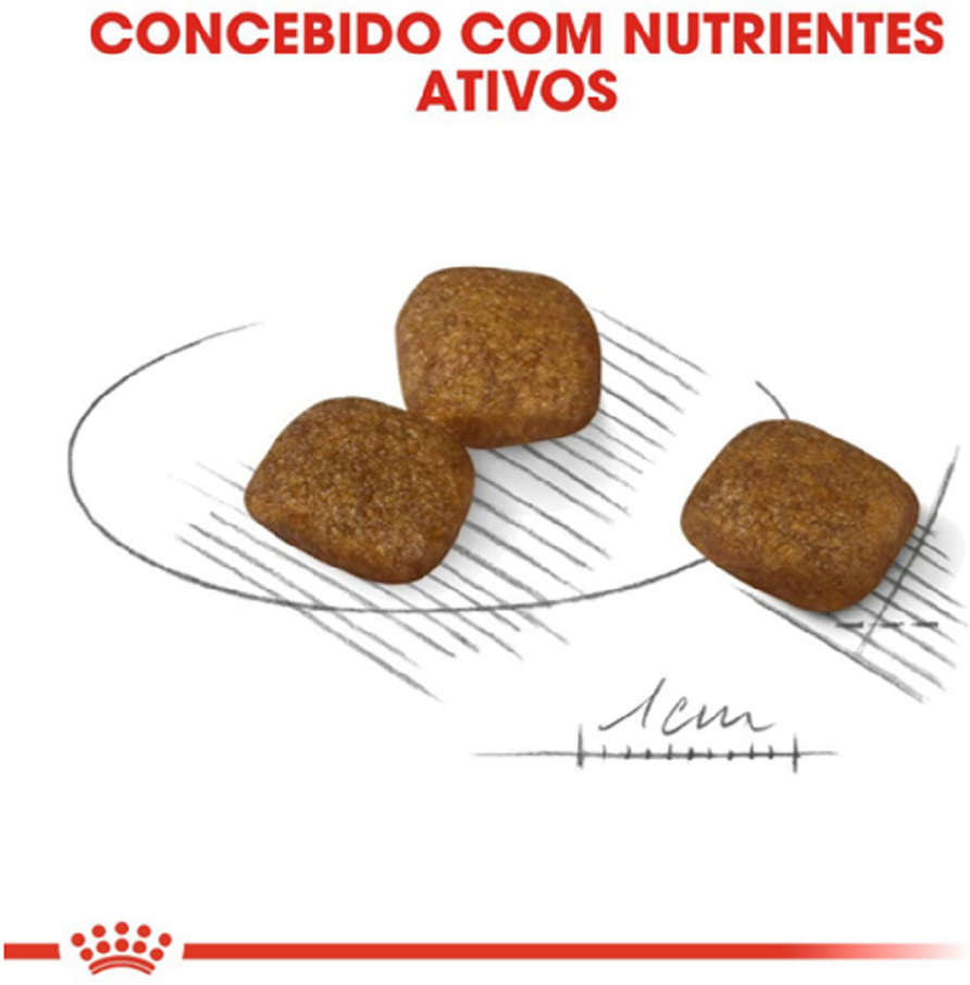 Ração Royal Canin Cuidado da Pelagem para Cães Adultos de Raças Mini a partir de 10 meses de idade - 2.5Kg