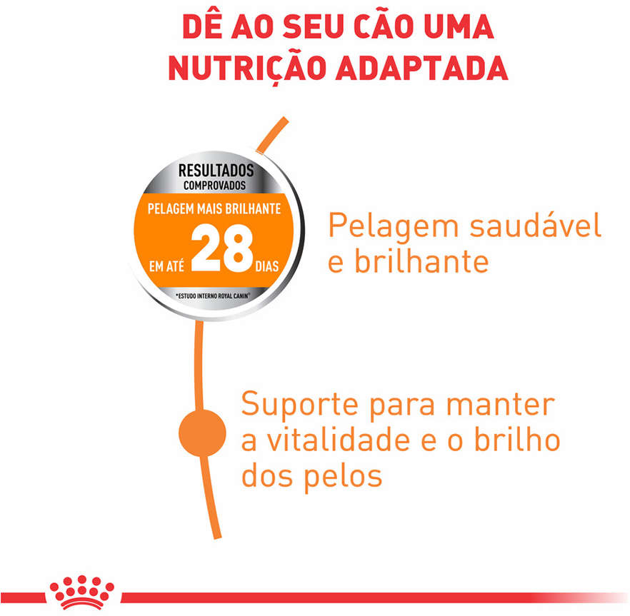 Ração Royal Canin Cuidado da Pelagem para Cães Adultos de Raças Mini a partir de 10 meses de idade - 2.5Kg