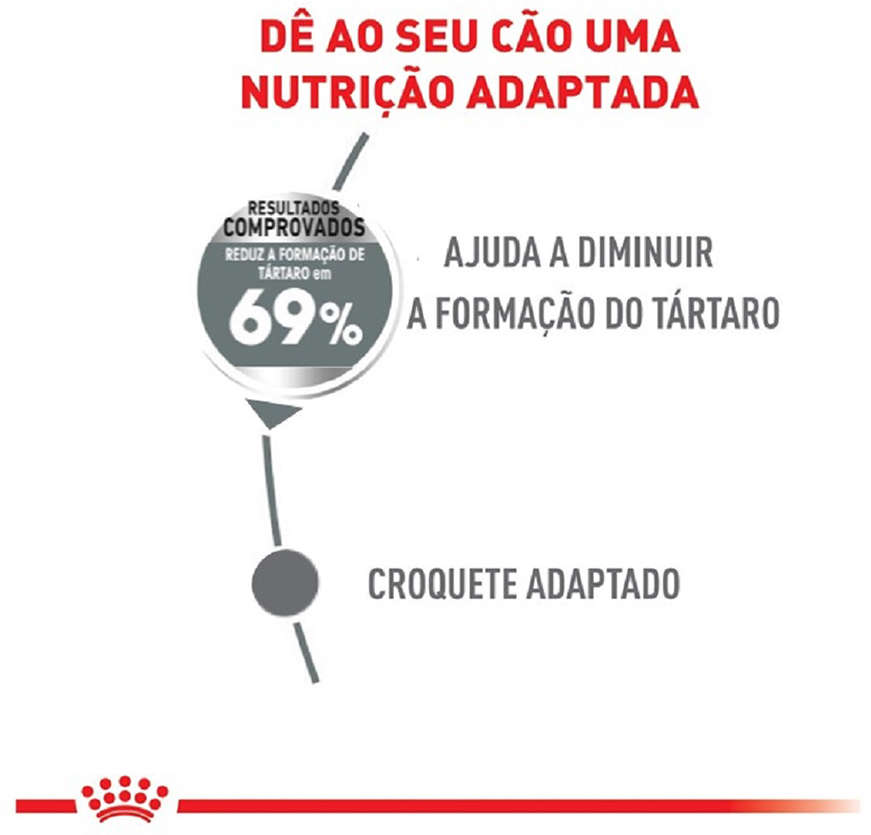 Ração Royal Canin Cuidado Dental para Cães Adultos de Raças Mini - 2,5Kg