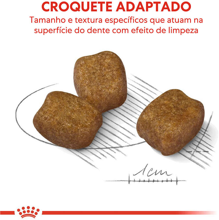 Ração Royal Canin Cuidado Dental para Cães Adultos de Raças Mini - 2,5Kg