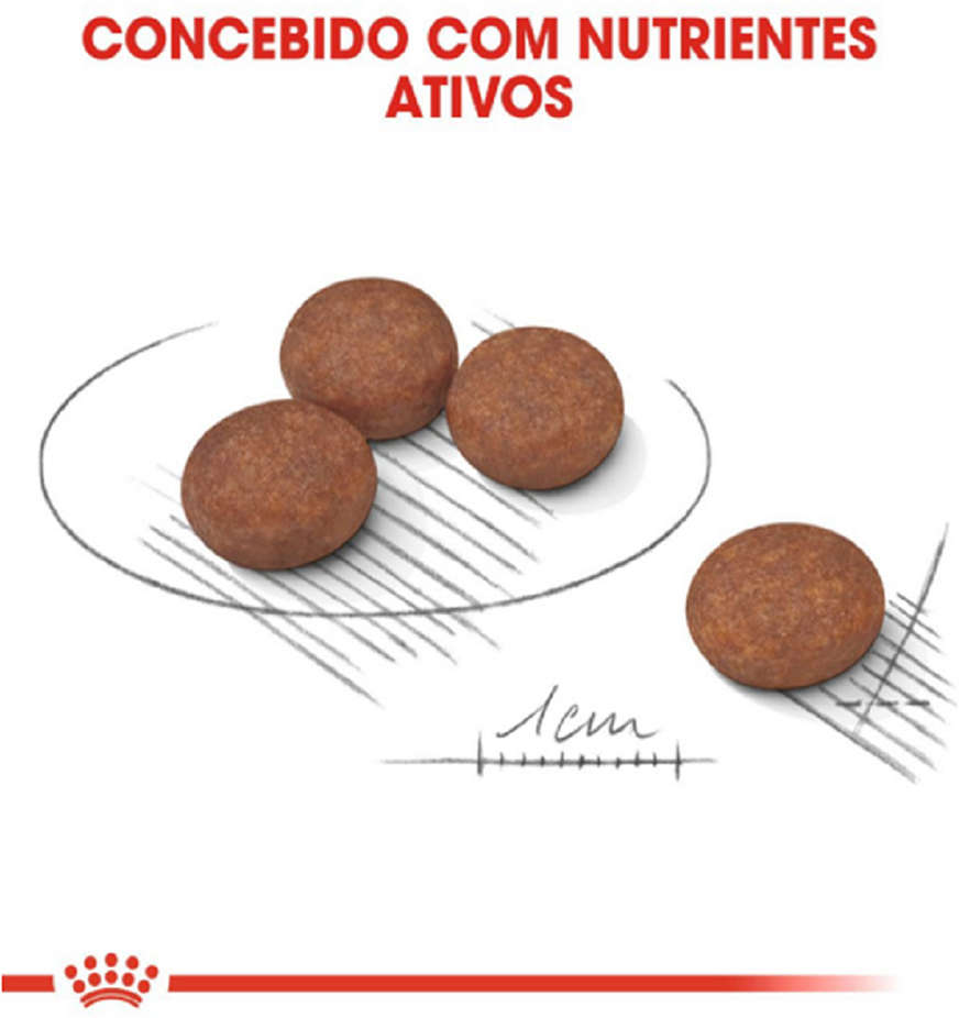 Ração Seca Royal Canin Cuidado Digestivo para Cães Adultos de Raças Mini a partir de 10 meses de idade - 2.5Kg