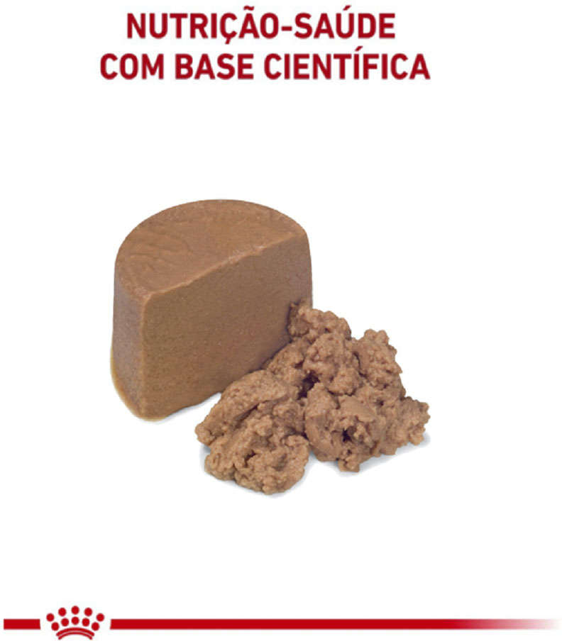 Ração Royal Canin Lata Canine e Feline Veterinary Diet Recovery Wet - 195 g