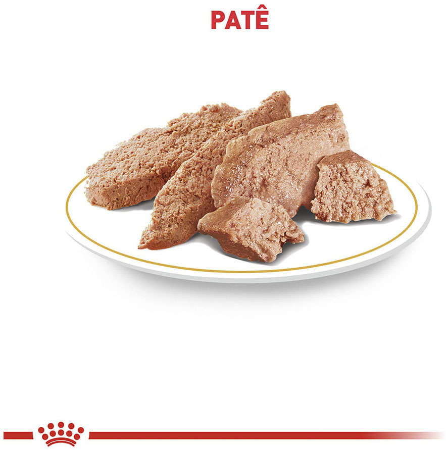 Ração Royal Canin Lata Canine Veterinary Diet Satiety Support Wet para Cães Adultos Obesos - 410 g