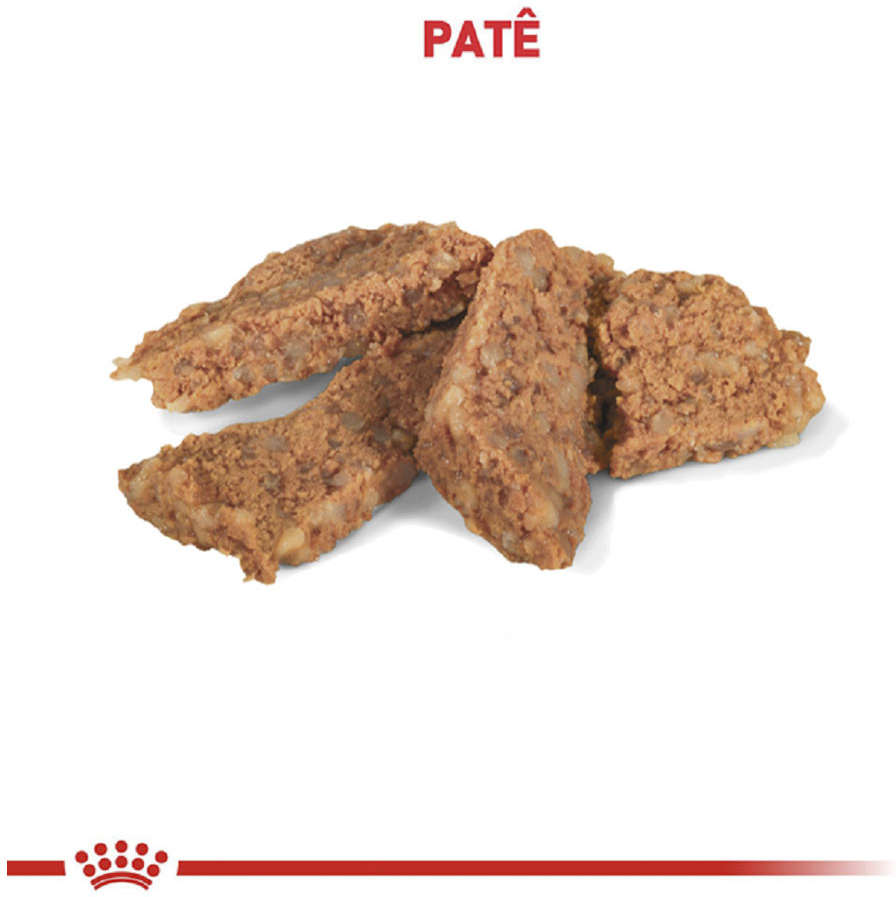 Ração Royal Canin Lata Canine Veterinary Diet Gastro Intestinal - 400 g