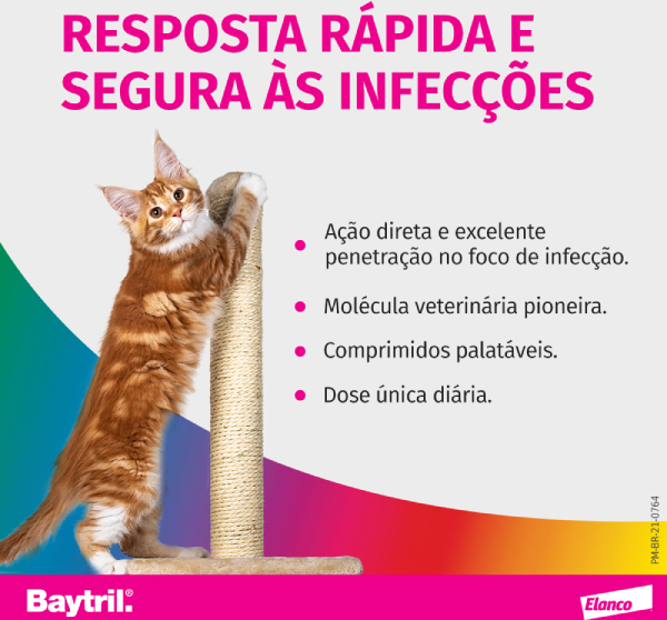 Antibiótico Elanco Baytril Flavour 50mg - 10 comprimidos