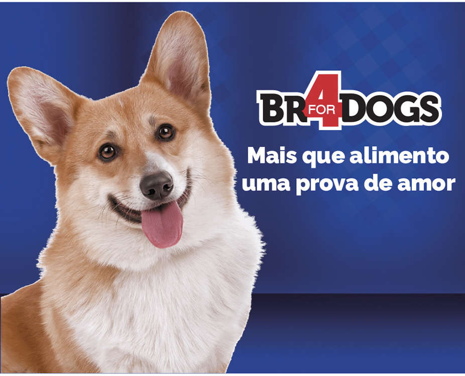 Ração Seca BR4 Dogs Light Arroz e Frango para Cães Adultos - 3Kg