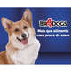 Ração Seca BR4 Dogs Light Arroz e Frango para Cães Adultos