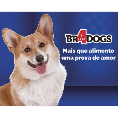 Ração Seca BR4 Dogs Light Arroz e Frango para Cães Adultos