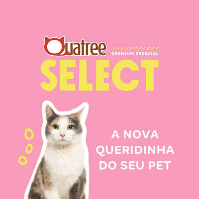 Ração Seca Quatree Select Salmão e Arroz Gatos Adultos”
