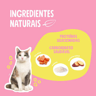 Ração Seca Quatree Select Salmão e Arroz Gatos Adultos”