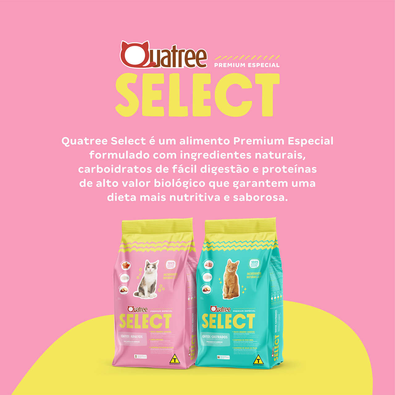 Ração Seca Quatree Select Salmão e Arroz Gatos Adultos - 10,1Kg