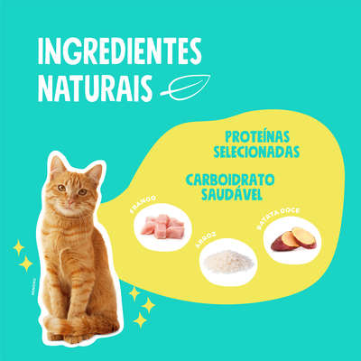 Ração Seca Quatree Select Frango Arroz Gatos Castrados