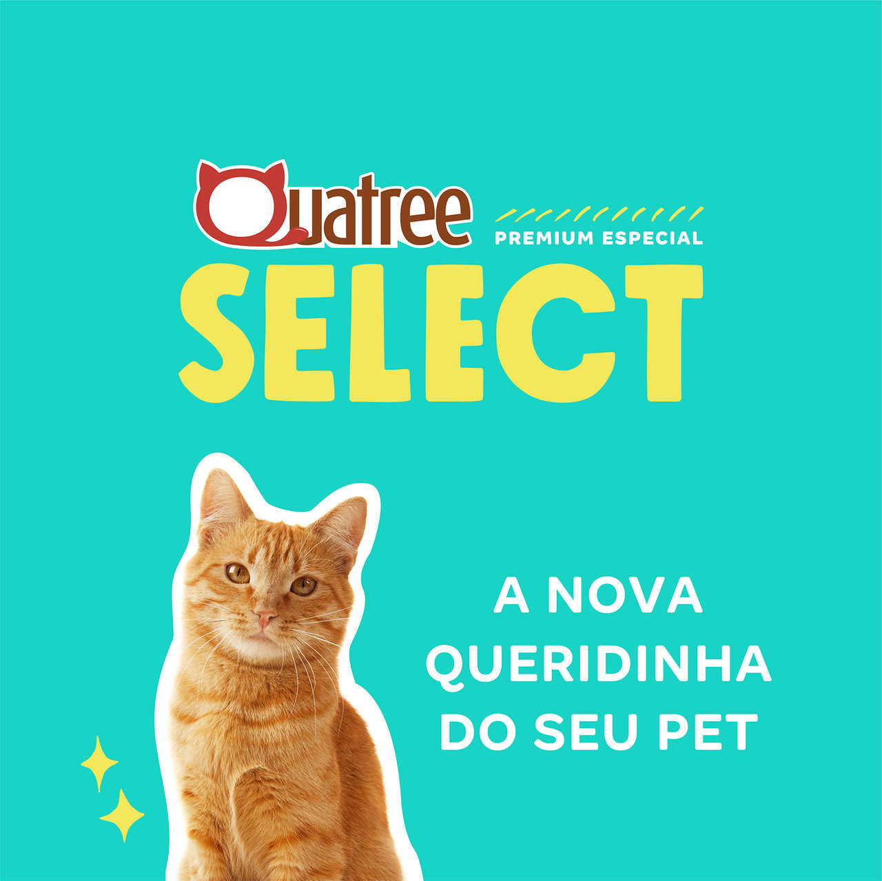 Ração Seca Quatree Select Frango Arroz Gatos Castrados - 10,1Kg