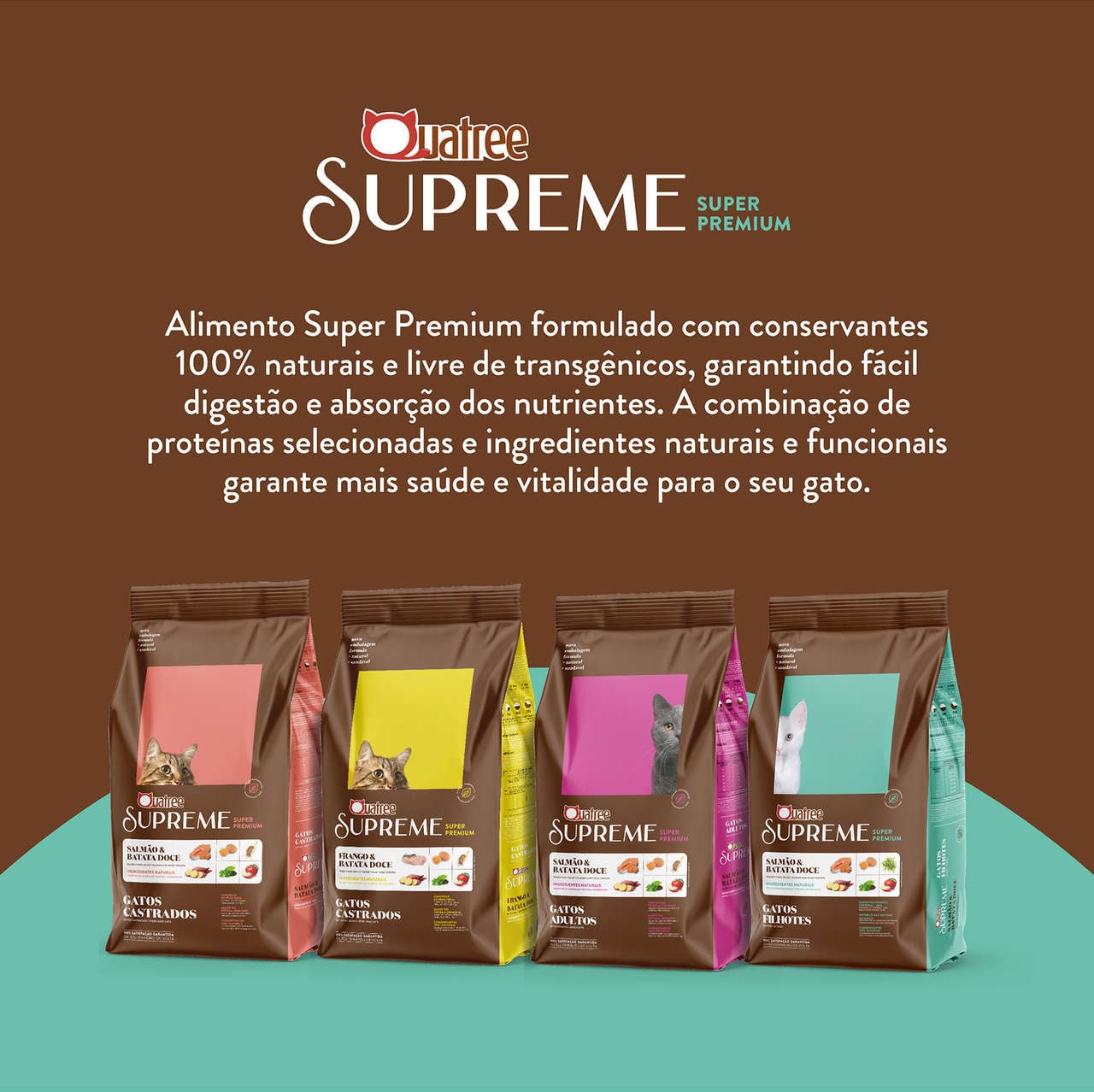 Ração Seca Quatree Supreme Salmão e Arroz Gatos Filhotes - 10,1Kg