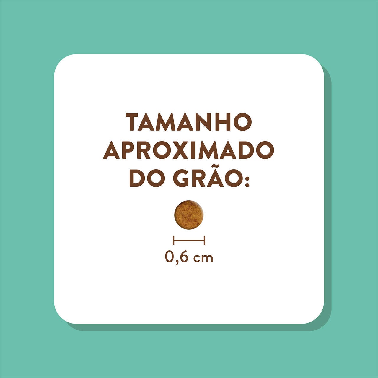 Ração Seca Quatree Supreme Salmão e Arroz Gatos Filhotes - 10,1Kg