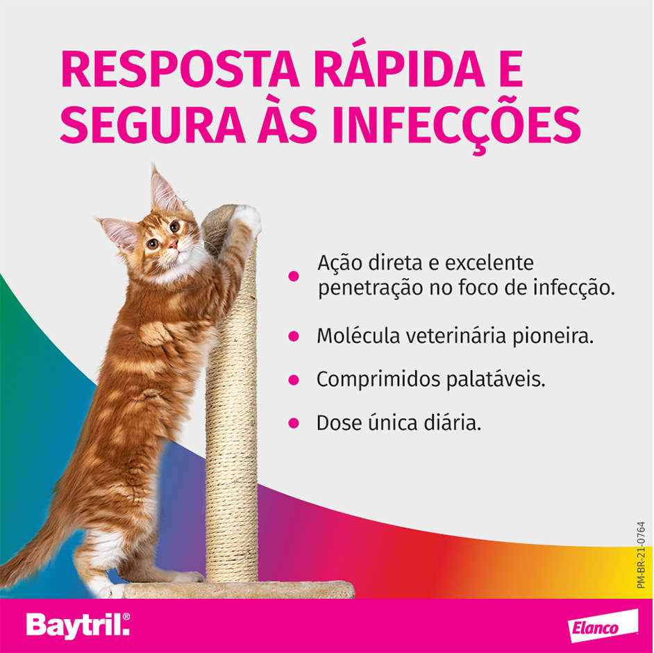 Antibiótico Elanco Baytril Flavour 15mg - 10 comprimidos