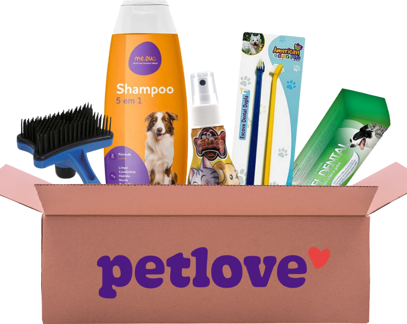 Kit Hora Do Banho para Cães - KIT