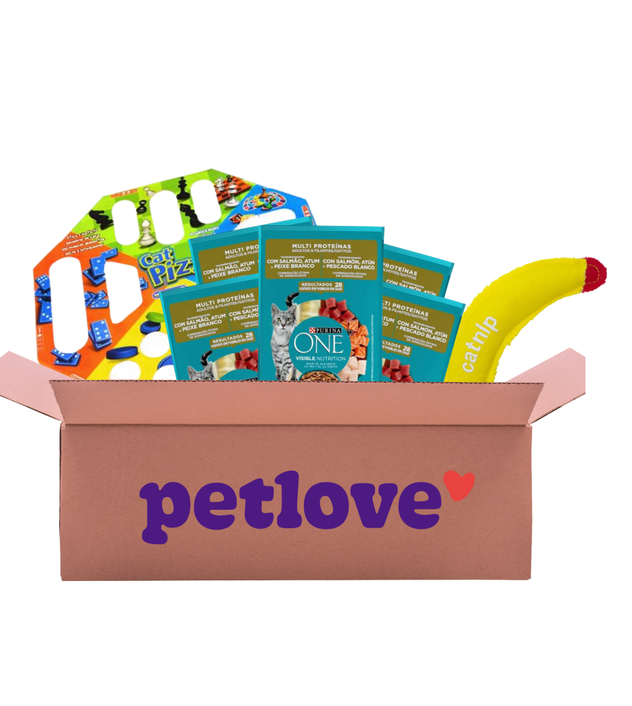 Kit Touro Os Comilões para Gatos - KIT