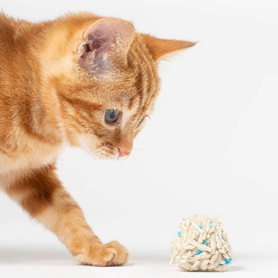 Granulado Higiênico Pidan Tofu para Gatos - 2,4Kg