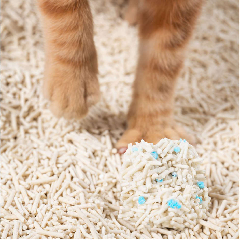 Granulado Higiênico Pidan Tofu para Gatos - 2,4Kg