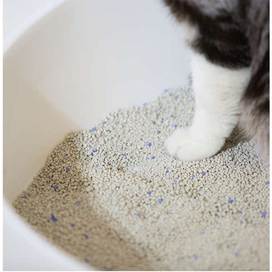 Areia Sanitária Pidan para Gatos - 6Kg