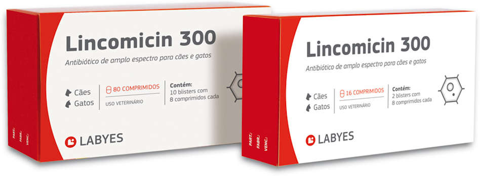 Antibiótico Labyes Lincomicin 300 - 16 Cápsulas