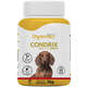 Suplemento Organnact Condrix Dog Tabs com 60 Tabletes 600 mg